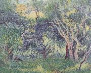 Henri Edmond Cross Undergowth china oil painting artist